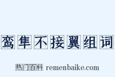鸾隼不接翼组词是什么意思的图片
